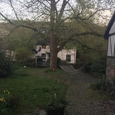 Auszeit Beim Imker * Nuembrecht